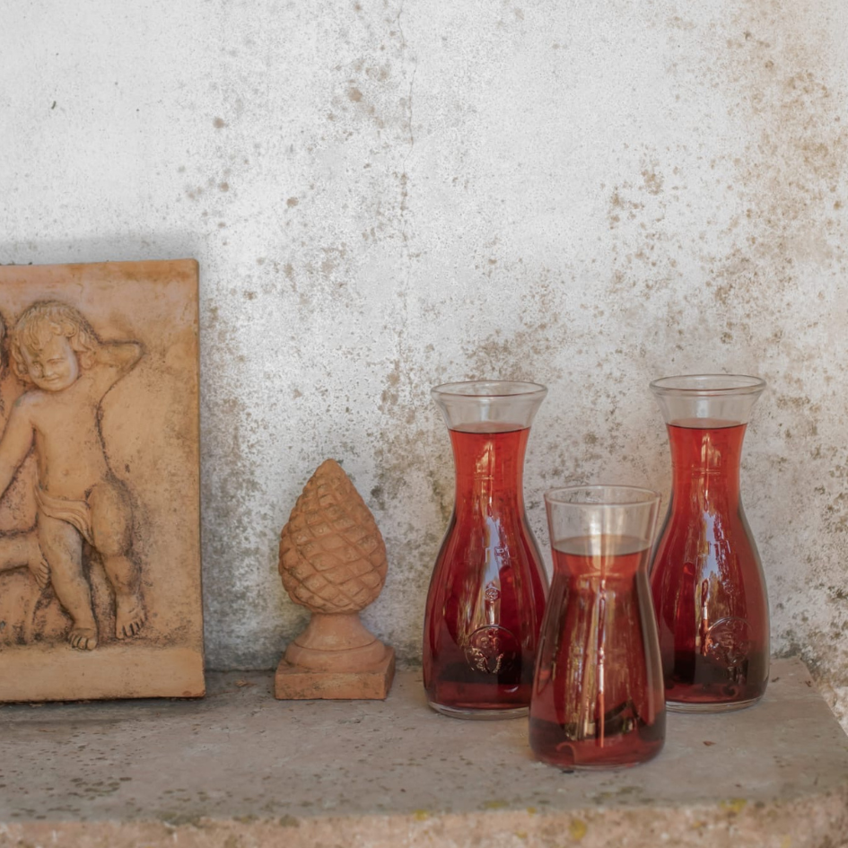 retraite-yoga-ayurveda-france